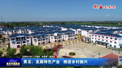 黄龙：发展特色产业  推进乡村振兴