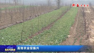 高效农业促振兴