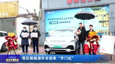 我区新能源车市迎来“开门红”