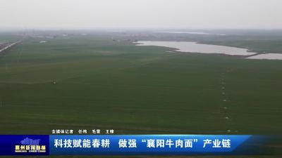 科技赋能春耕  做强“襄阳牛肉面”产业链