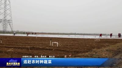追赶农时种蔬菜