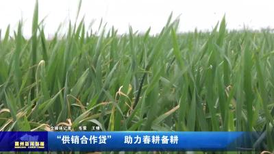 “供销合作贷”  助力春耕备耕