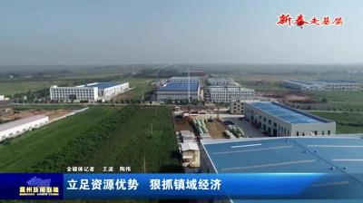 立足资源优势  狠抓镇域经济