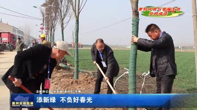 添新绿  不负好春光