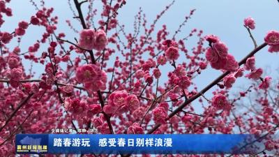 踏春游玩  感受春日别样浪漫