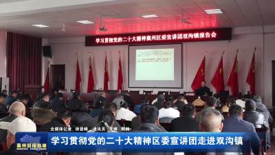 学习贯彻党的二十大精神区委宣讲团走进双沟镇