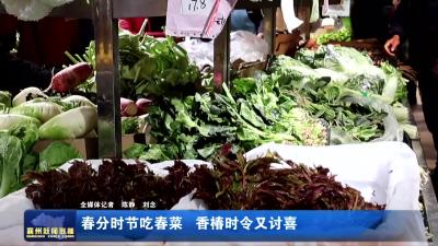 春分时节吃香菜  香椿时令又讨喜