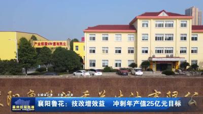 襄阳鲁花：技改增效益  冲刺年产值25亿元目标