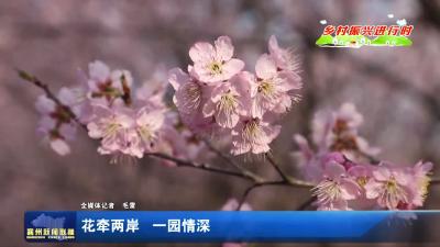花牵两岸 一园情深