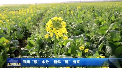 田间“锁”水分  新鲜“链”出来