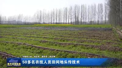 50多名农技人员田间地头传技术