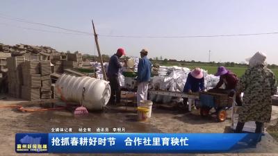 抢抓春耕好时节  合作社里育秧忙