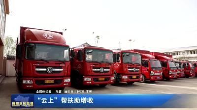 “云上”帮扶助增收