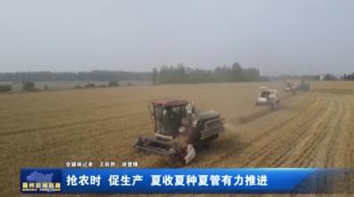 抢农时 促生产 夏收夏种夏管有力推进