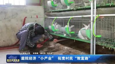 庭院经济“小产业”  拓宽村民“致富路”
