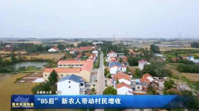 “85后” 新农人带动村民增收