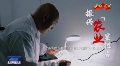 劳模风采  振兴农业显担当