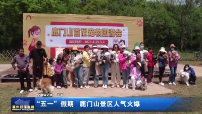 “五一”假期  鹿门山景区人气火爆