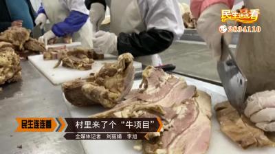 村里来了个“牛项目”