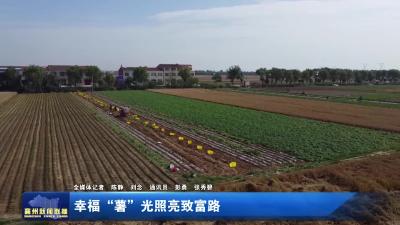 幸福“薯”光照亮致富路