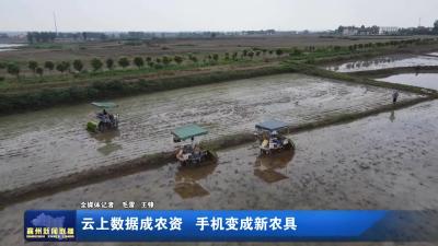 云上数据成农资 手机变成新农具