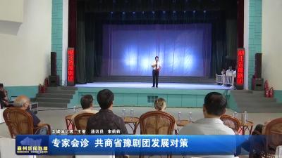 专家会诊 共商省豫剧团发展对策