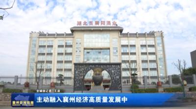 主动融入襄州经济高质量发展中