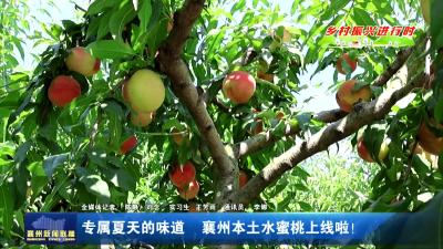专属夏天的味道 襄州本土水蜜桃上线啦！