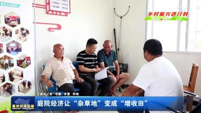 庭院经济让“杂草地”变成“增收田”