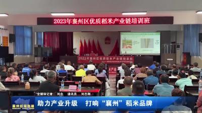 助力产业升级  打响“襄州”稻米品牌