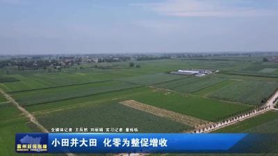 小田并大田  化零为整促增长