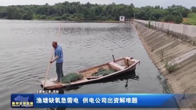 渔塘缺氧急需电 供电公司出资解难题