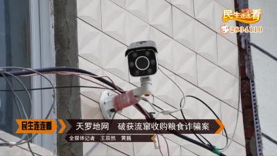 天罗地网  破获流窜收购粮食诈骗案