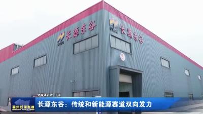 长源东谷：传统和新能源赛道双向发力
