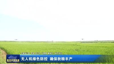 无人机绿色防控 确保秋粮丰产