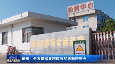 襄州:全力确保夏粮应收尽收颗粒归仓