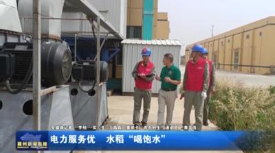 电力服务优 水稻“喝饱水”