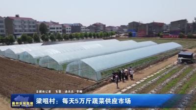 梁咀村：每天5万斤蔬菜供应市场