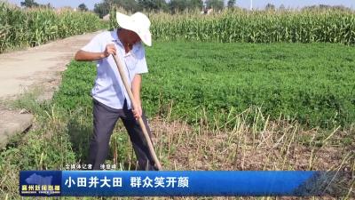 小田并大田  群众笑开颜