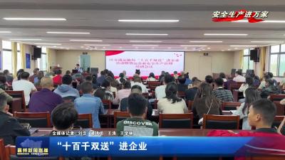 “十百千双送”进企业
