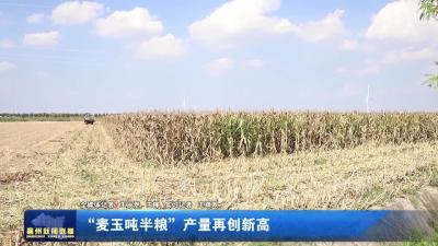 麦玉吨半粮”产量再创新高