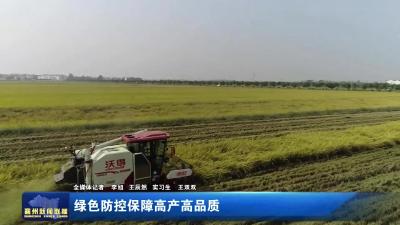 绿色防控保障高产高品质