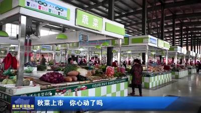 秋菜上市 你心动了吗