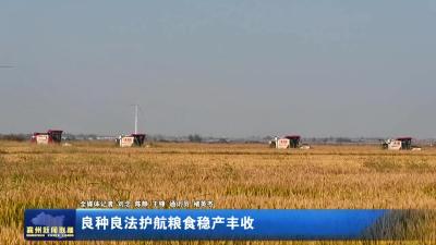 良种良法护航粮食稳产丰收