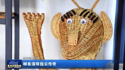 柳条演绎指尖传奇
