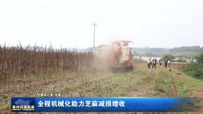 全程机械化助力芝麻增产增收