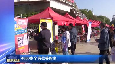 4600多个岗位等你来