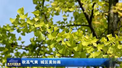 秋高气爽  城区美如画