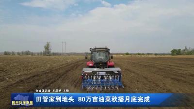 田管家到地头 80万亩油菜秋播月底完成