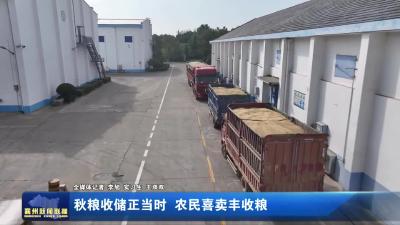 秋粮收储正当时 农民喜卖丰收粮